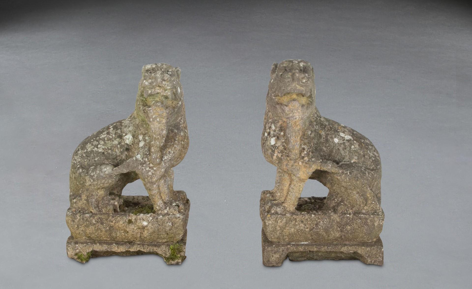 Ein ungewöhnliches Paar chinesischer geschnitzter Steinmodelle von Löwen, die jeweils mit gegensätzlichen Köpfen dargestellt sind und auf Lotussockeln sitzen. In gutem Zustand und mit schön verwitterter Oberfläche. Um 1880.

H: 49 cm (19 5/16