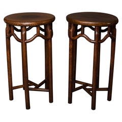 Pair of 19th Century Chinese Elmwood Stands