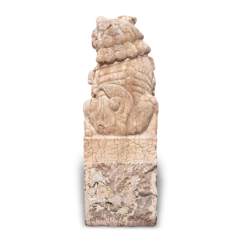 Pair of 19th Century Chinese Guardian Lion Dogs with Cubs For Sale at ...