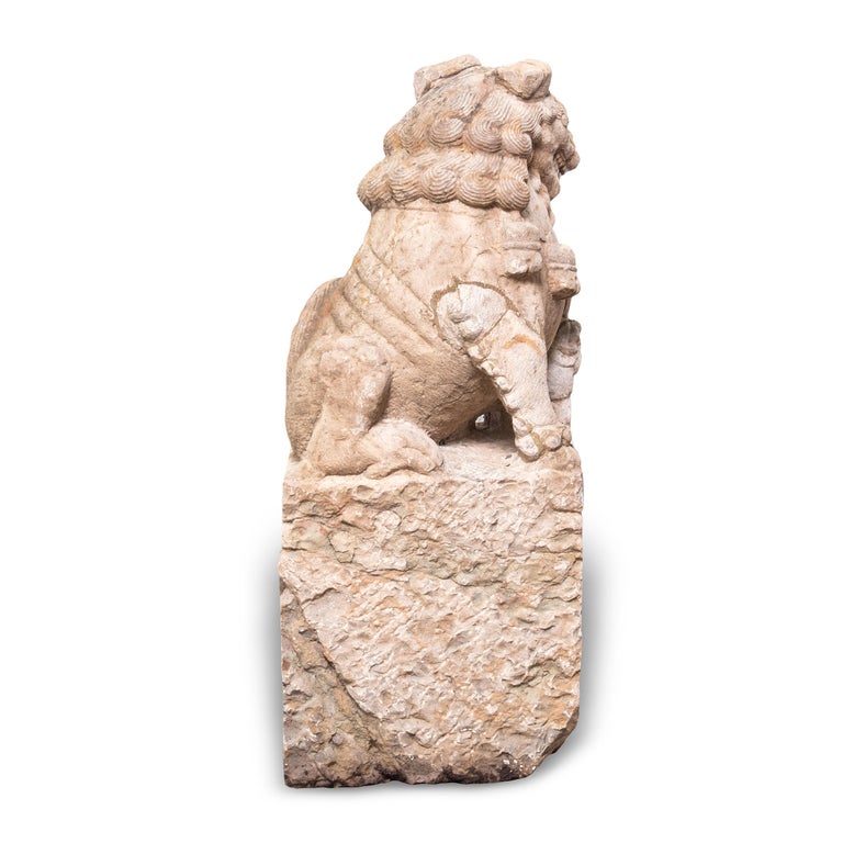 Pair of 19th Century Chinese Guardian Lion Dogs with Cubs For Sale at ...
