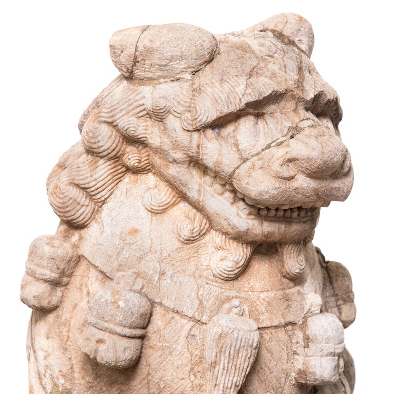 Pair of 19th Century Chinese Guardian Lion Dogs with Cubs For Sale at ...