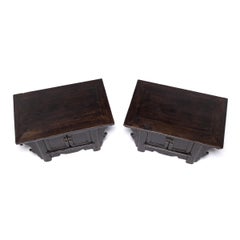 Pair of 19th Century Chinese Low Two-Door Chests