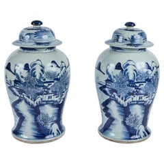 Pareja de tarros con tapa de porcelana china de principios del siglo XX, circa 1920