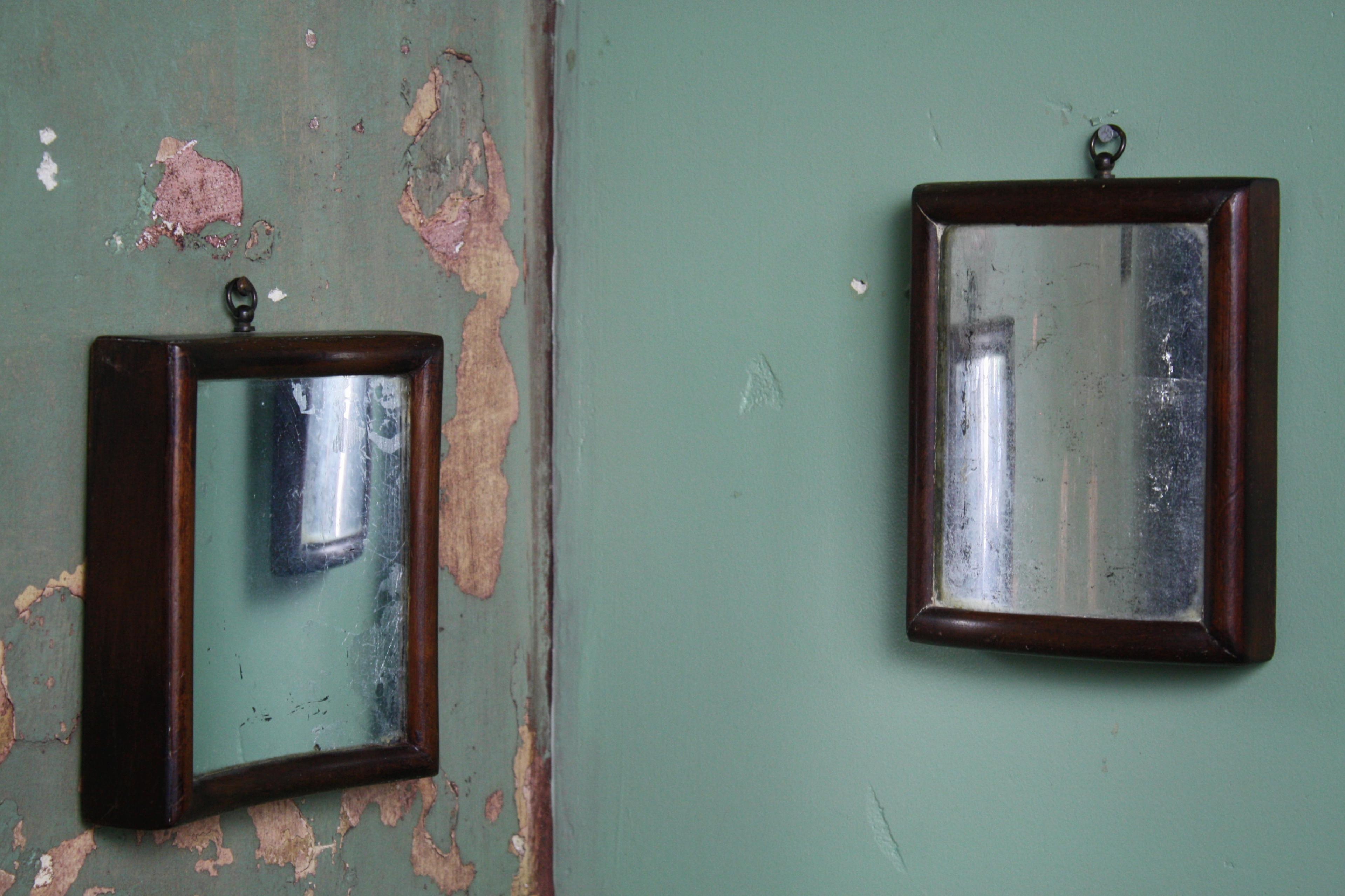 Pair of 19th Century Concave & Convex Distortion Scientific Mirrors 2