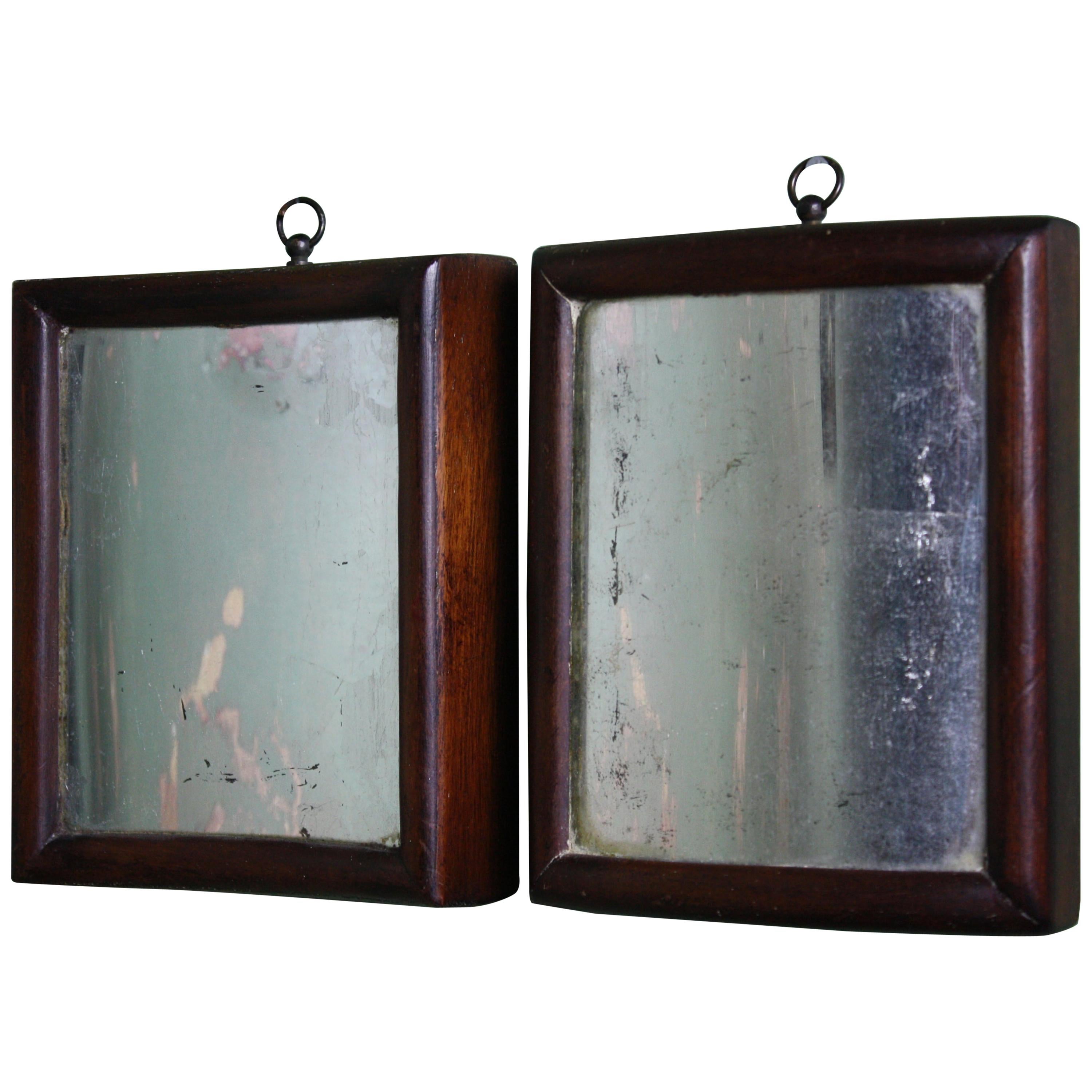 Pair of 19th Century Concave & Convex Distortion Scientific Mirrors