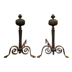 Pair of 19th Century Continental Hand Forged Bronze and Iron Andirons