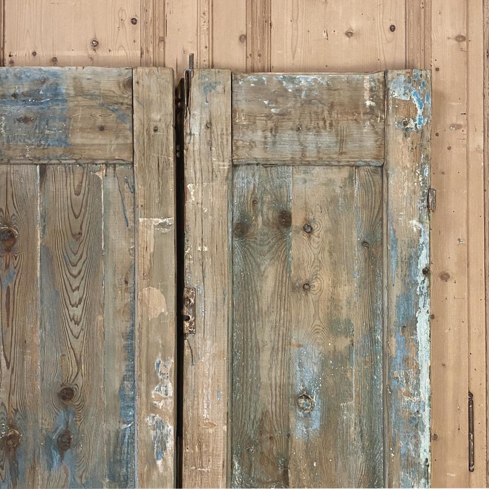 Pair of 19th Century Country French Painted Doors For Sale 6