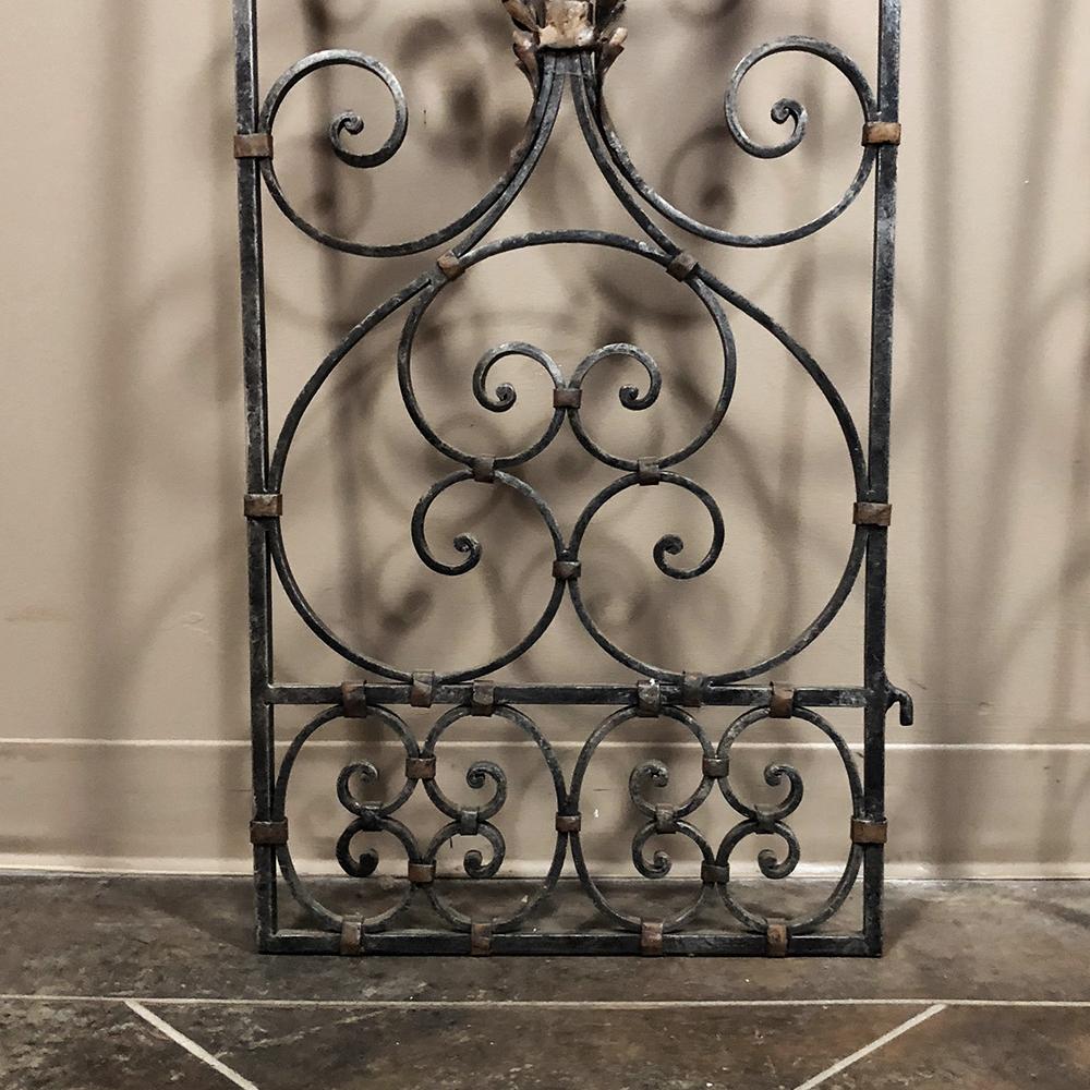 Pair of 19th Century Country French Wrought Iron Garden Gates 1