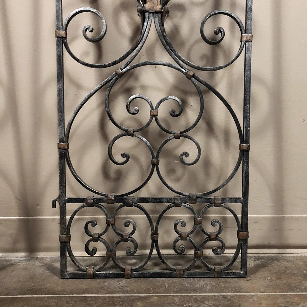 Pair of 19th Century Country French Wrought Iron Garden Gates 2