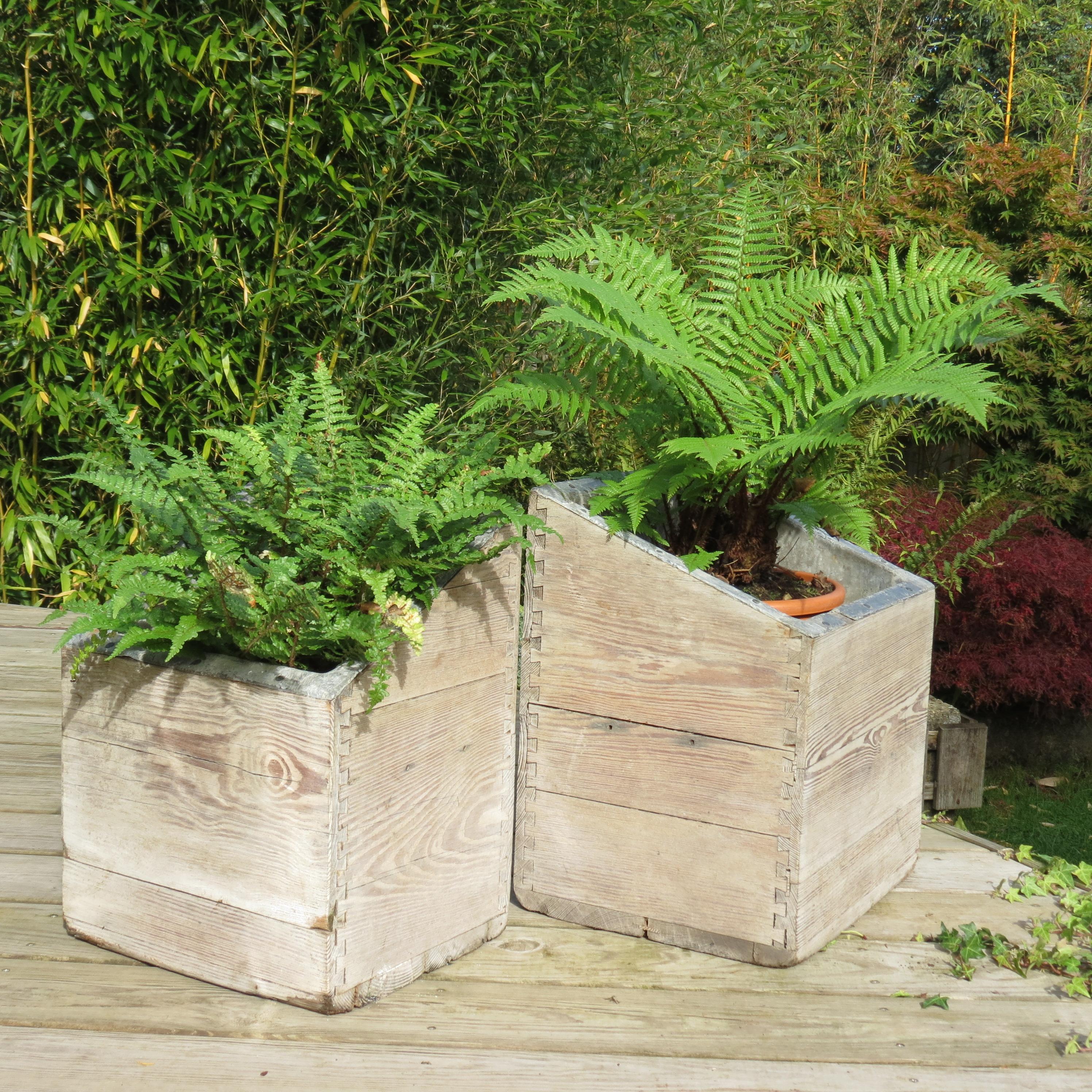 Pair of 19th Century Country Pine and Lead Lined Indoor or Outdoor Planters 6