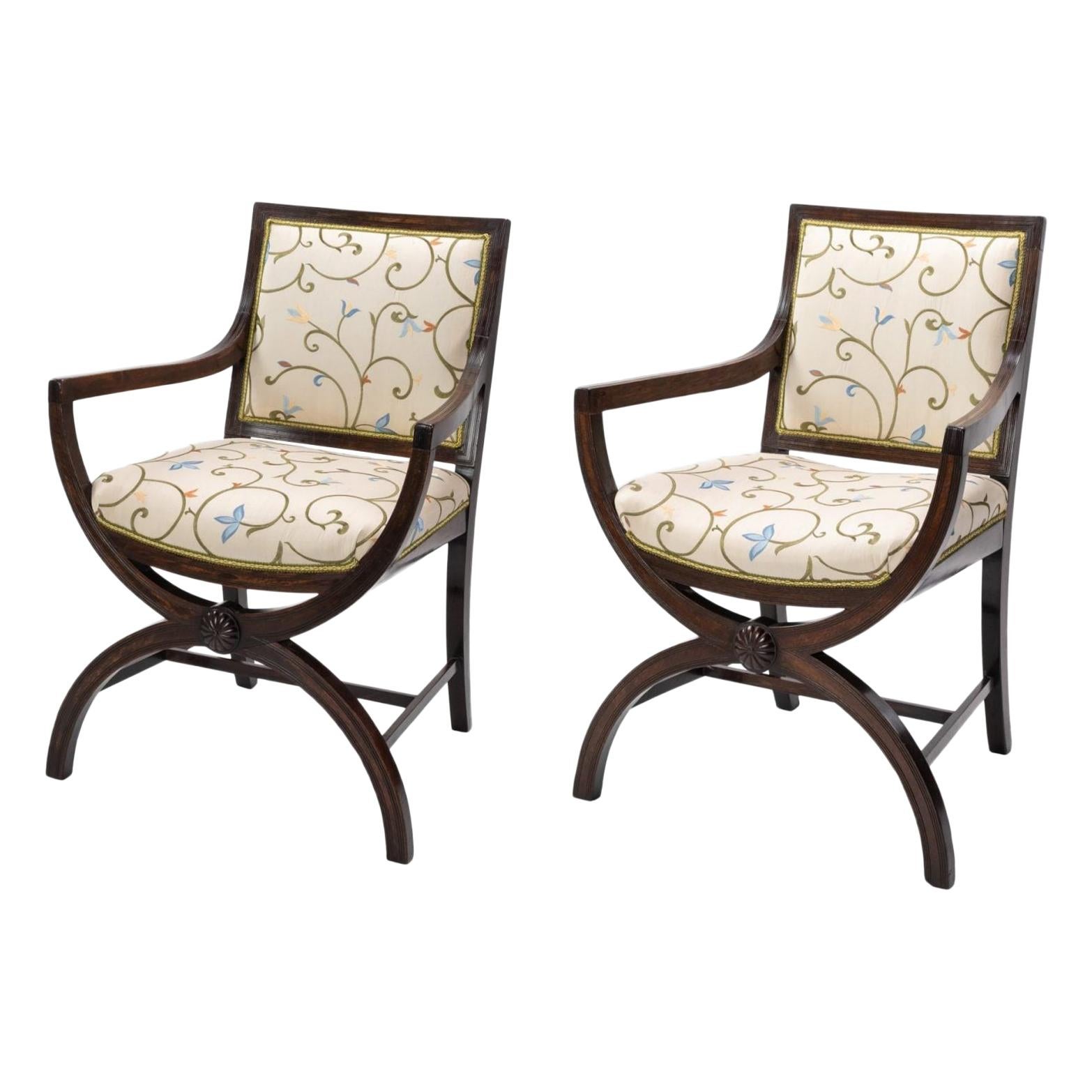 Pair of 19th Century Curule Armchairs in the Manner of Thomas Hope