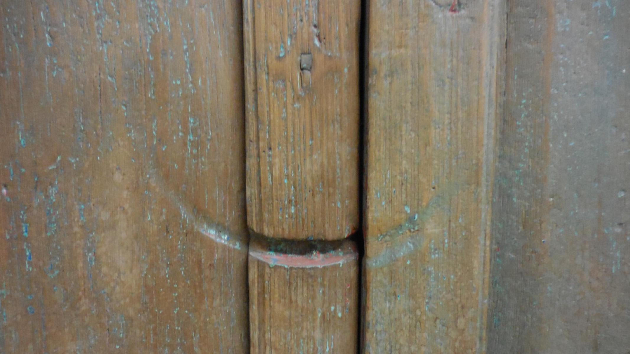 Pair of 19th Century Doors 5