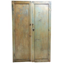 Pair of 19th Century Doors