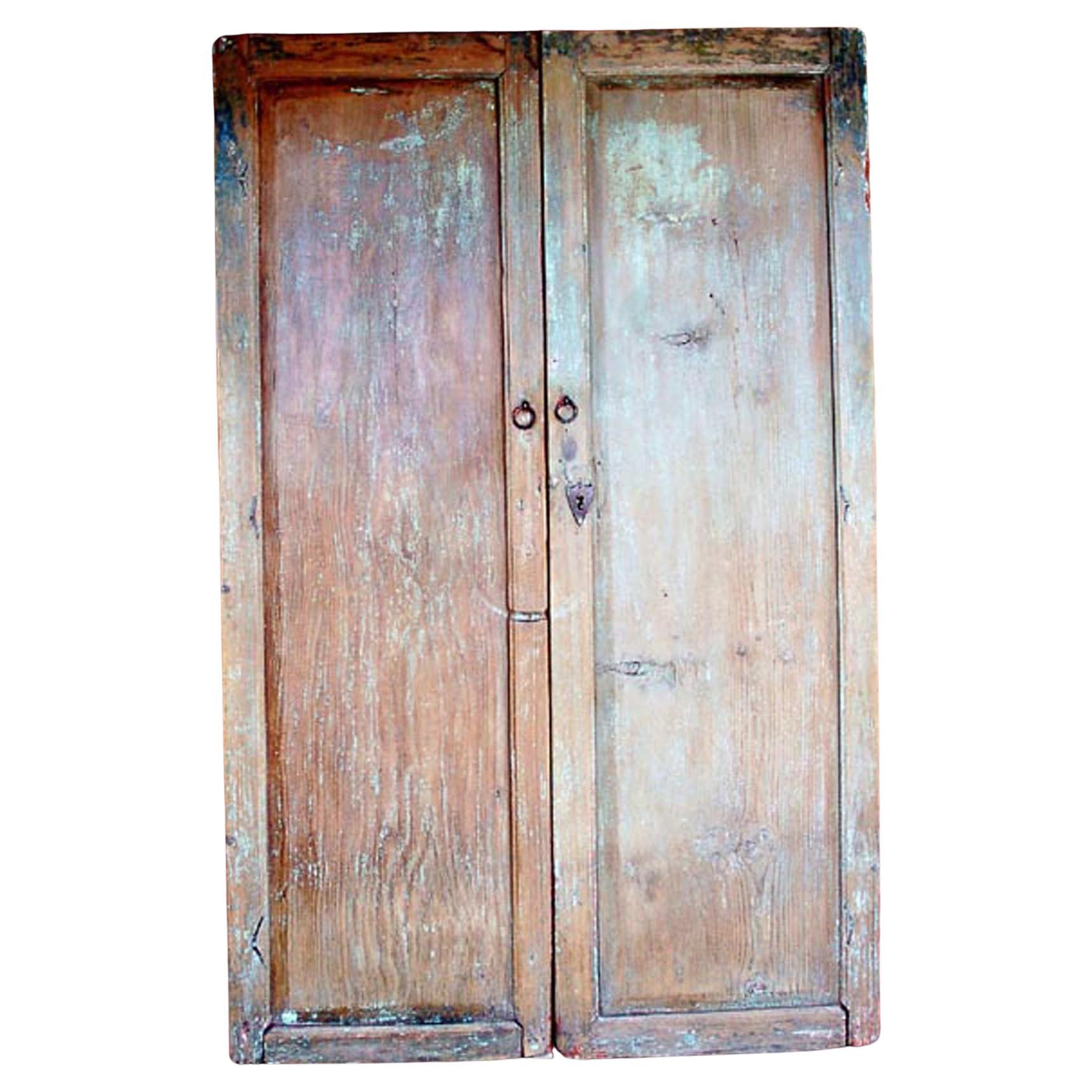 Pair of 19th Century Doors