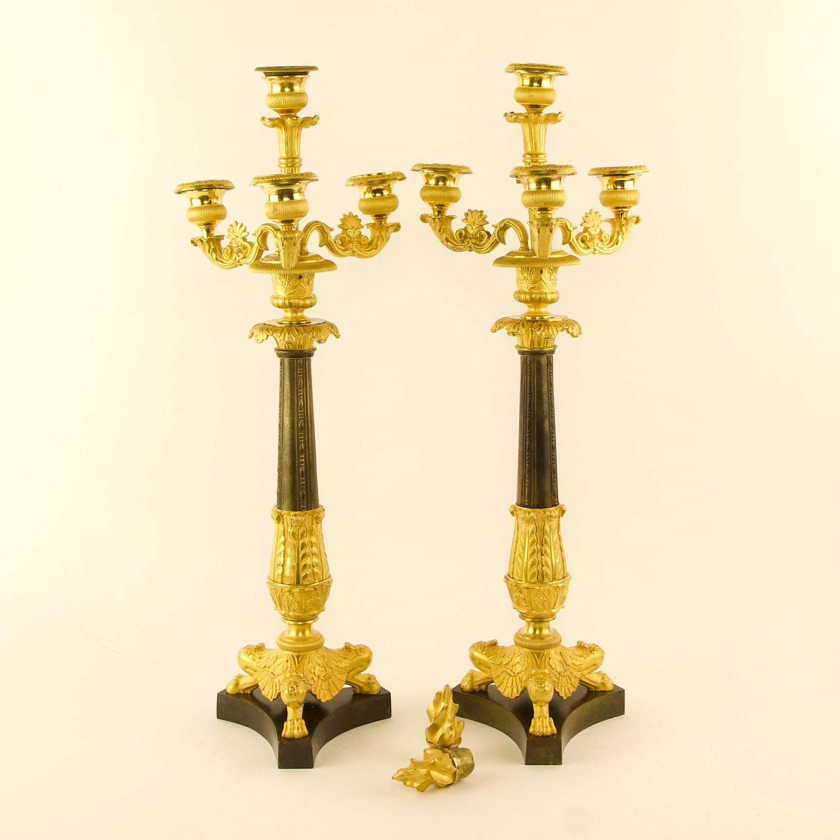 Coppia di candelabri Impero del XIX secolo in ormolu e bronzo patinato attr. Thomire

Ognuno di essi ha un gambo affusolato a punta di foglia fuso in bronzo parzialmente dorato e patinato che sostiene tre rami di candela intagliati a foglia con