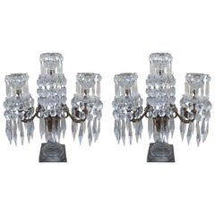 Pair of 19th Century English Bronze Crystal Girandoles
