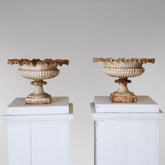 Pair of 19th Century English Cast Iron Tazza Urns Planters