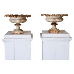 Planters and Jardinieres