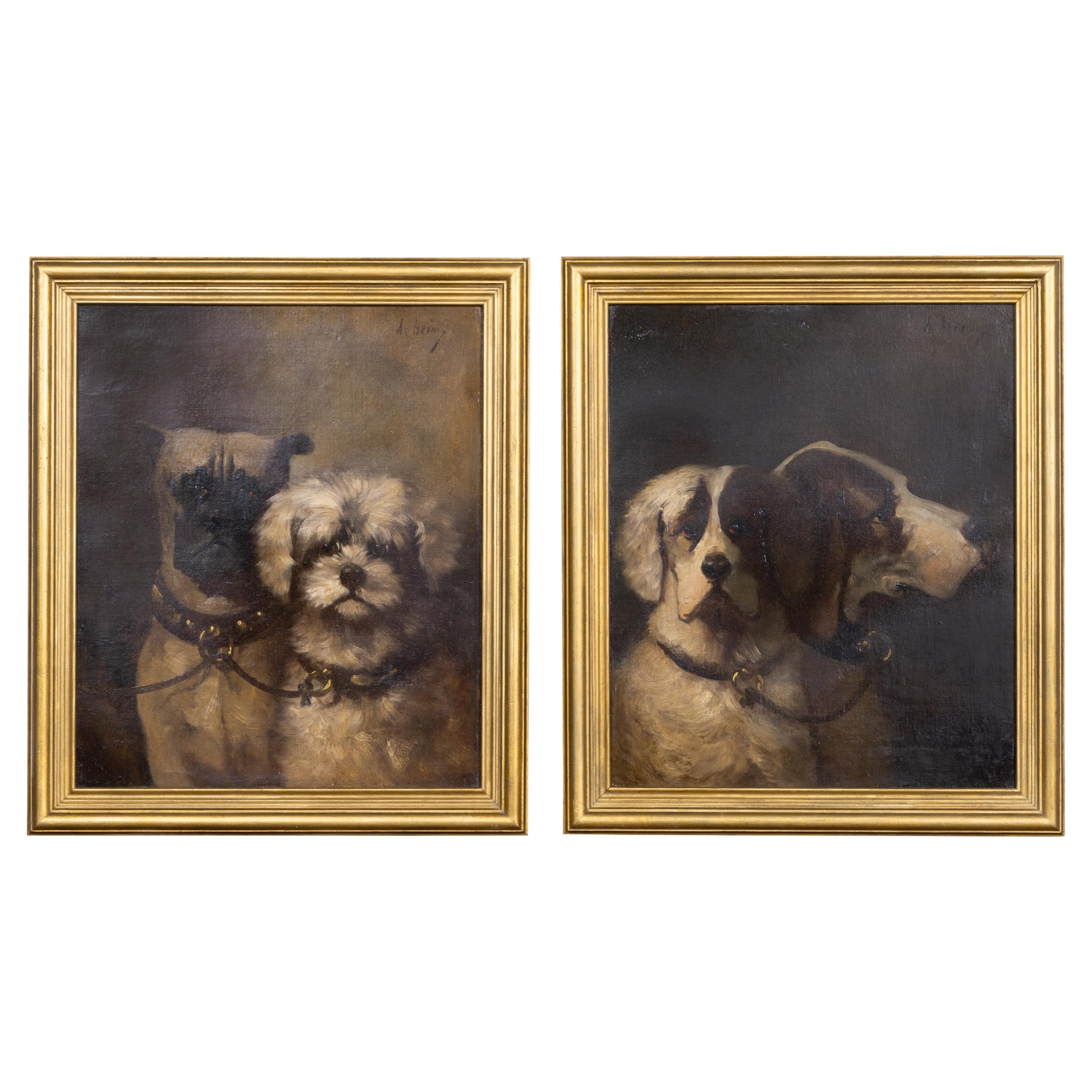 Pair of 19th Century English Dog Paintings in Gilt Frames, Signed A. Heim