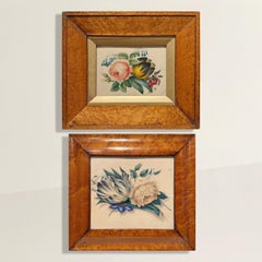 Coppia di acquerelli floreali inglesi del XIX secolo