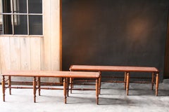 Pair of 19th Century English Mahogany and Cane Benches