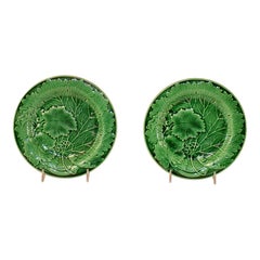 Coppia di piatti in maiolica inglese del XIX secolo