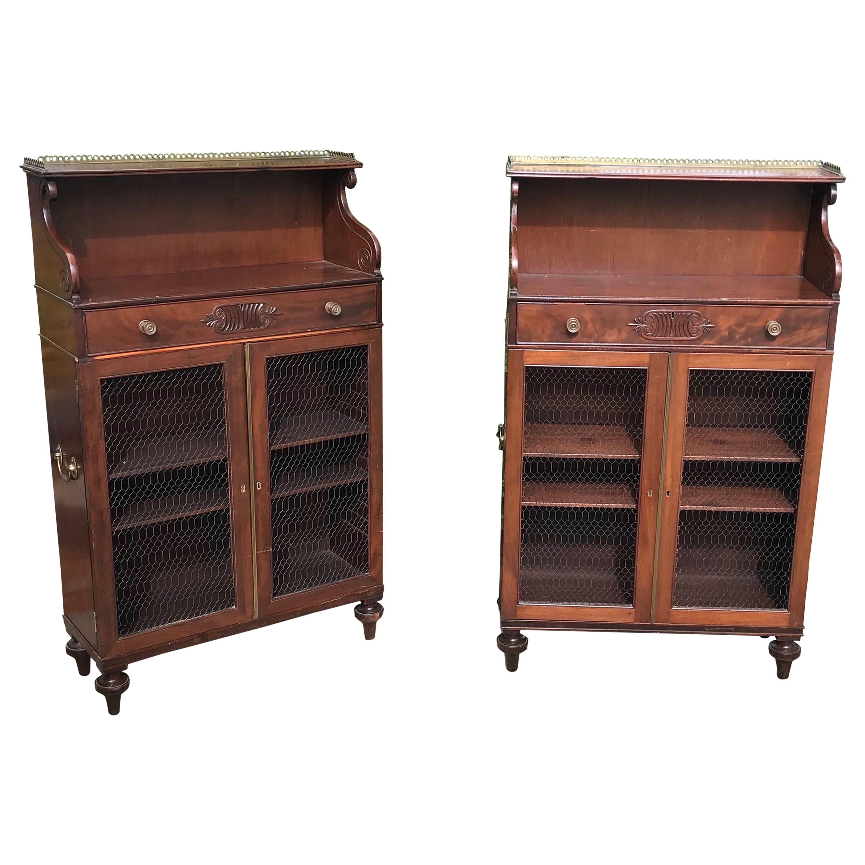 Pair of 19th Century English Regency Mahogany Cabinets