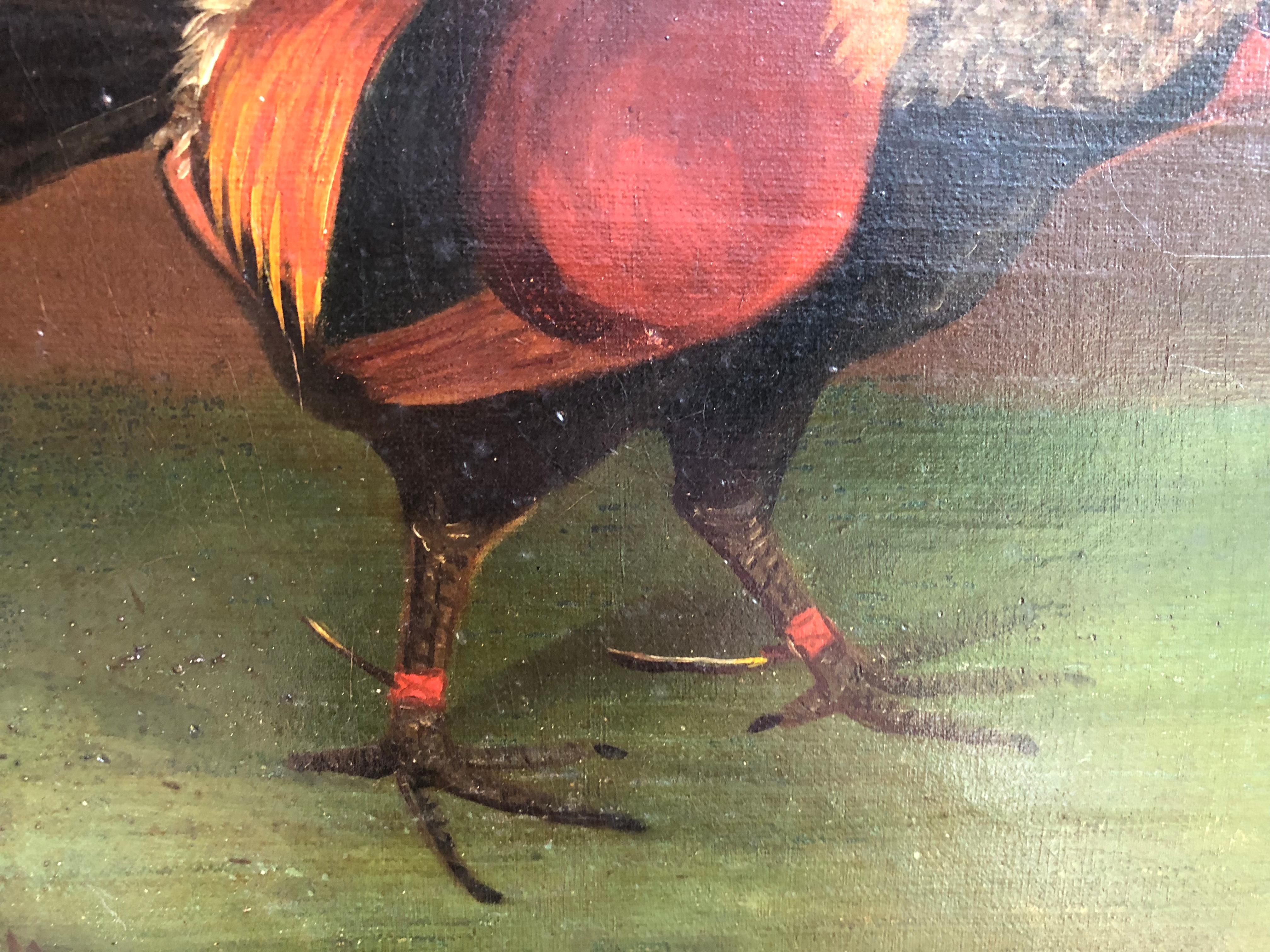Pair of 19th Century English Sporting Paintings, Fighting Cocks 6