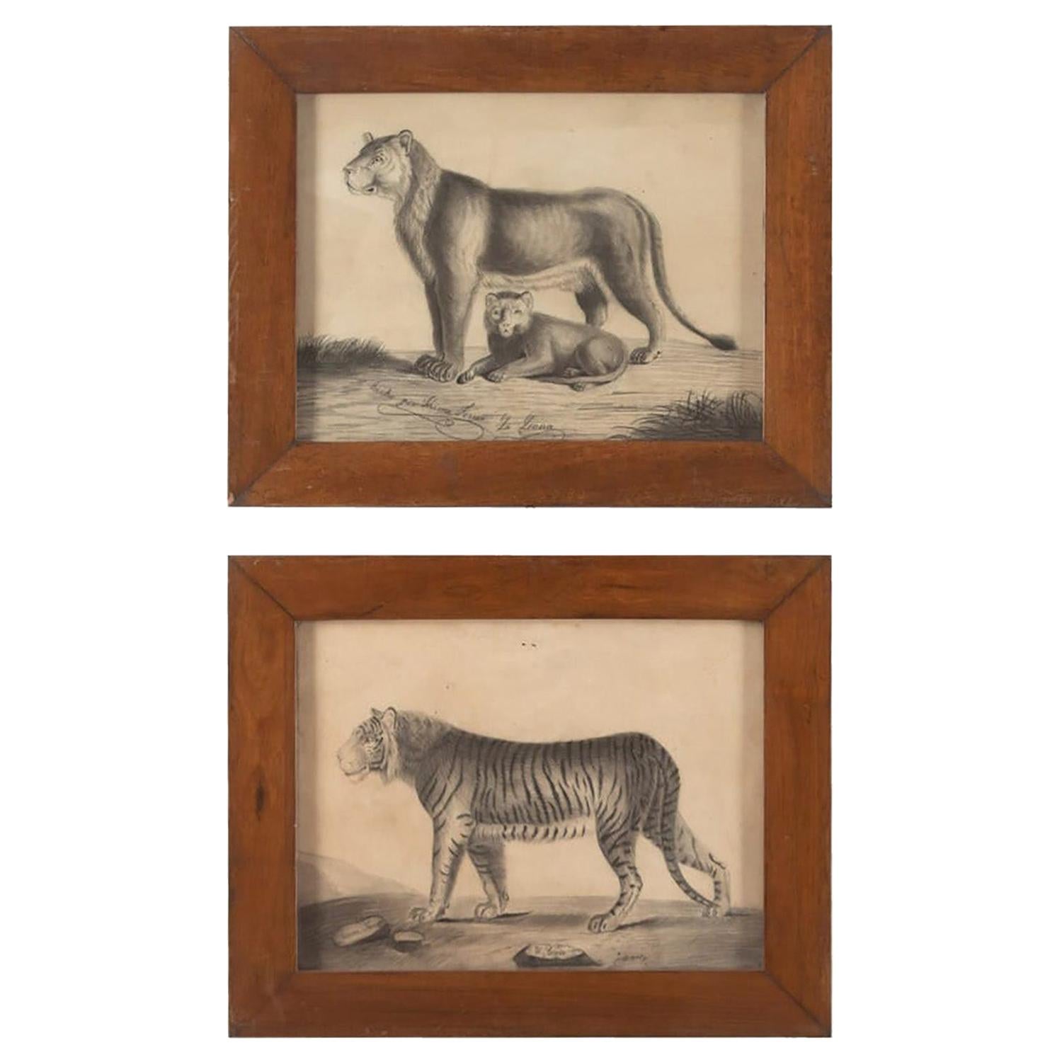 Pair of 19th Century Etchings of a Lion and a Tiger