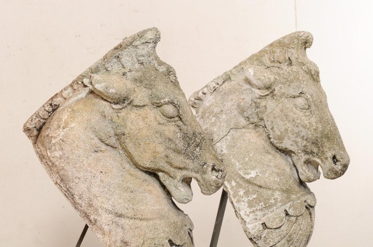 Pair of 19th Century European Stone Horse Heads at 1stDibs