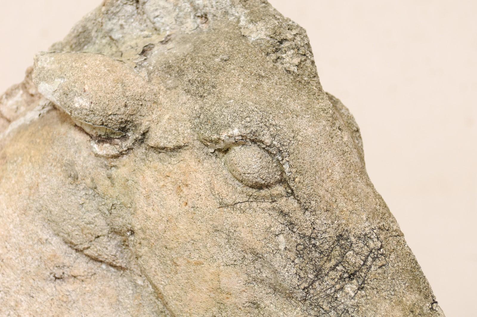 Pair of 19th Century European Stone Horse Heads 3