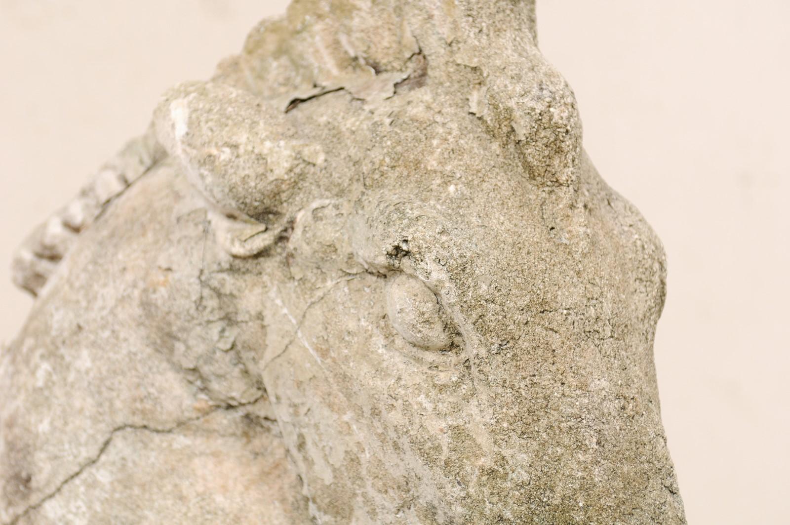 Pair of 19th Century European Stone Horse Heads 4