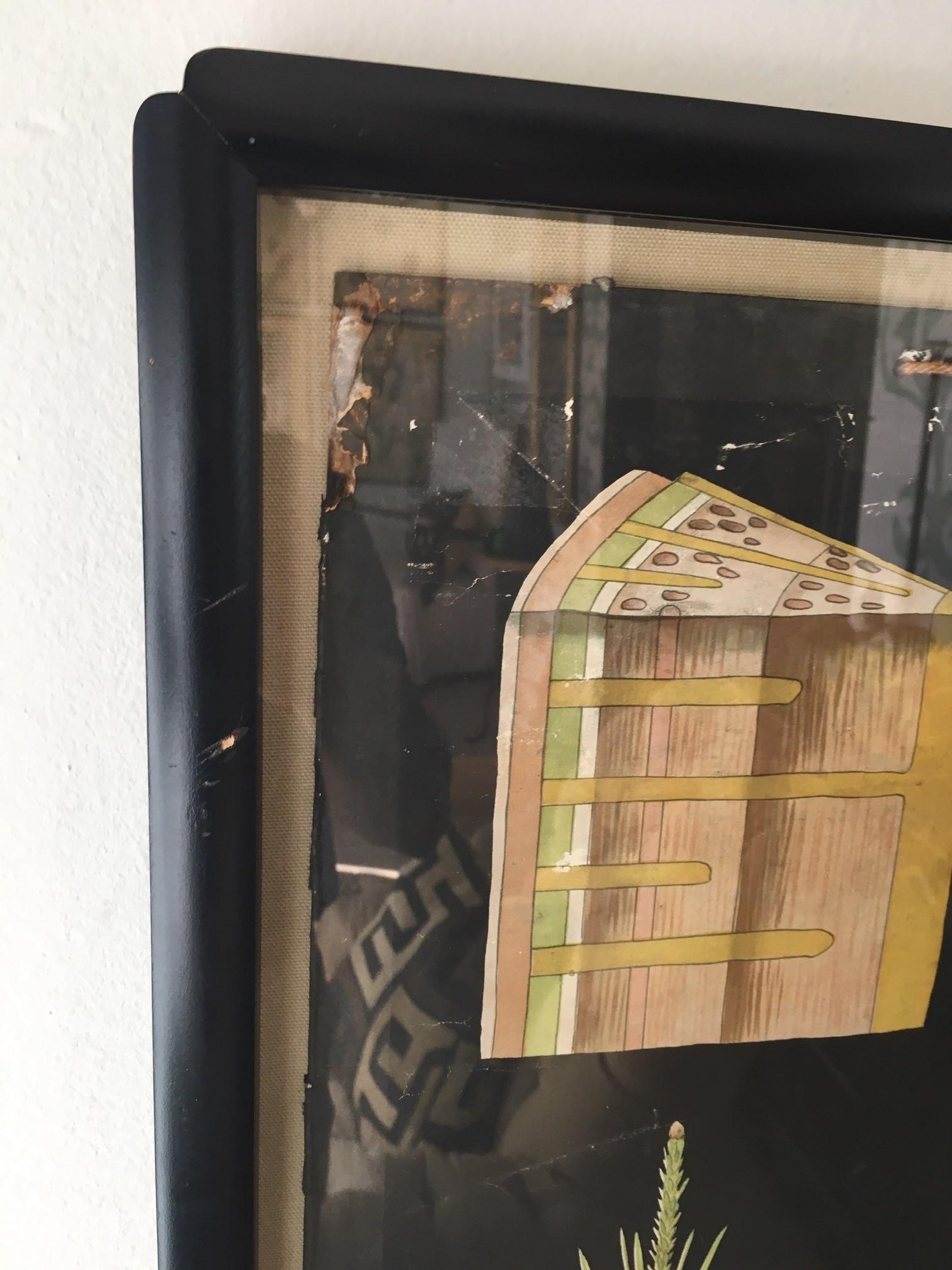 Fait main Paire d'œuvres d'art murales botaniques allemandes encadrées du 19ème siècle en vente