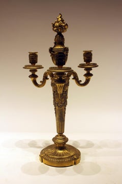 Pair of 19th Century French Bronze Candelabras
