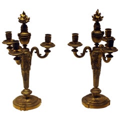 Pair of 19th Century French Bronze Candelabras