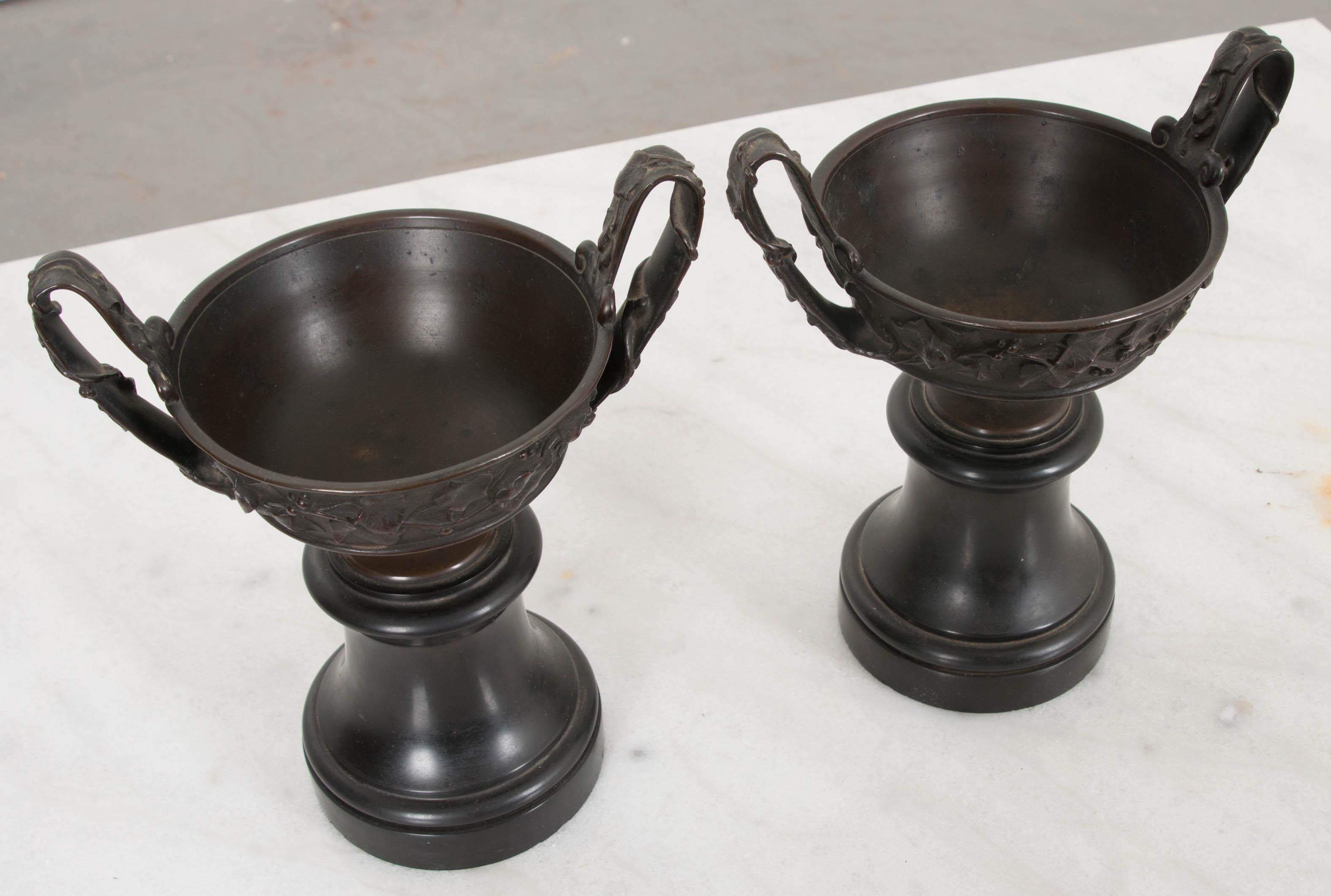 Pair of 19th Century French Bronze Tazza Urns on Marble Bases 1