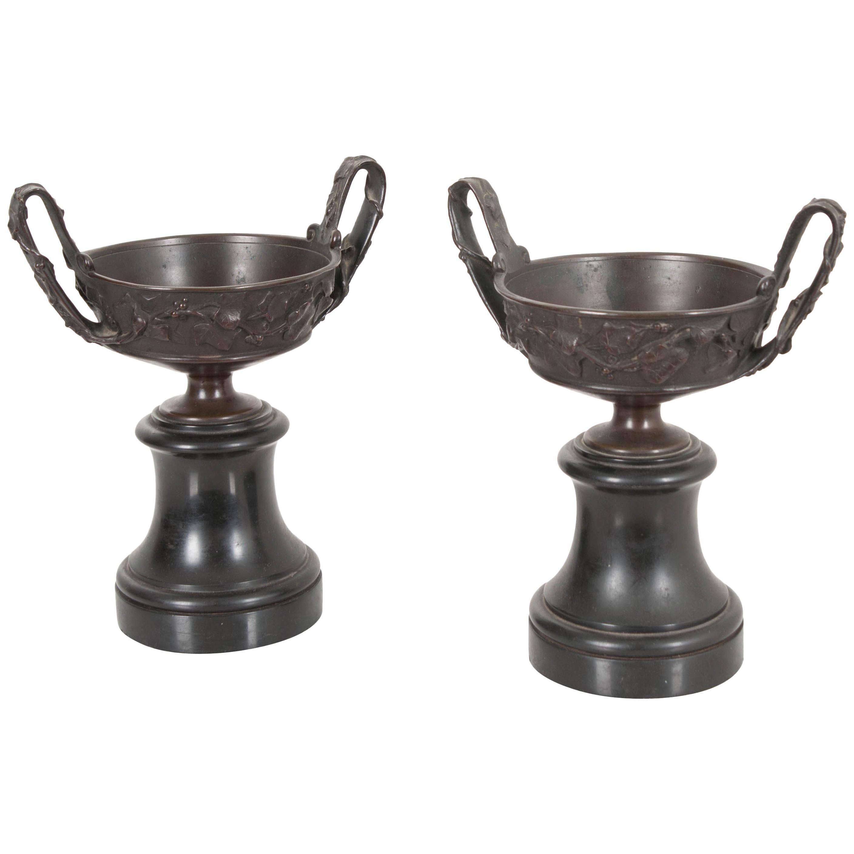 Pair of 19th Century French Bronze Tazza Urns on Marble Bases