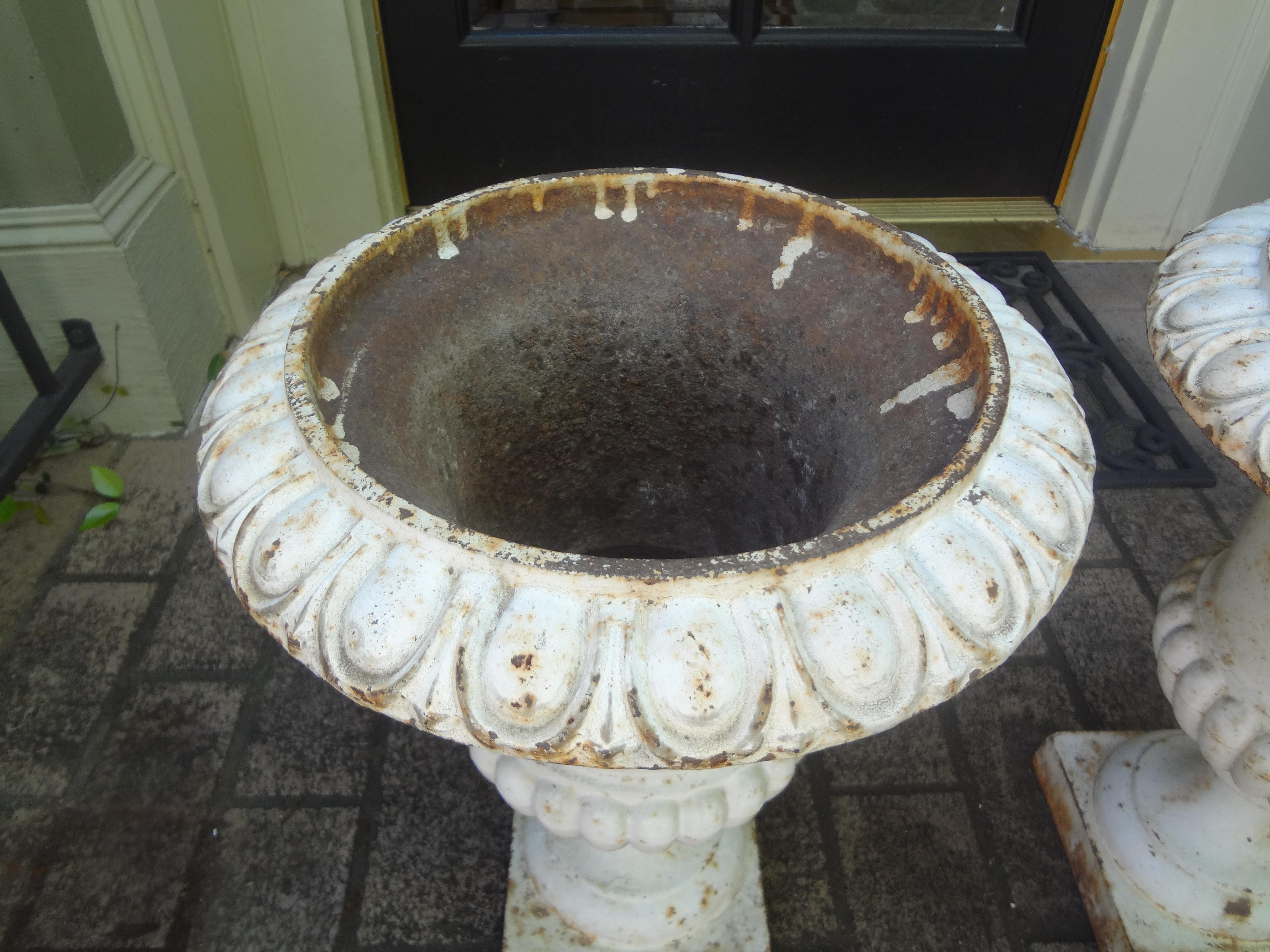 Classical Roman Pair of 19th Century French Cast Iron Garden Urns