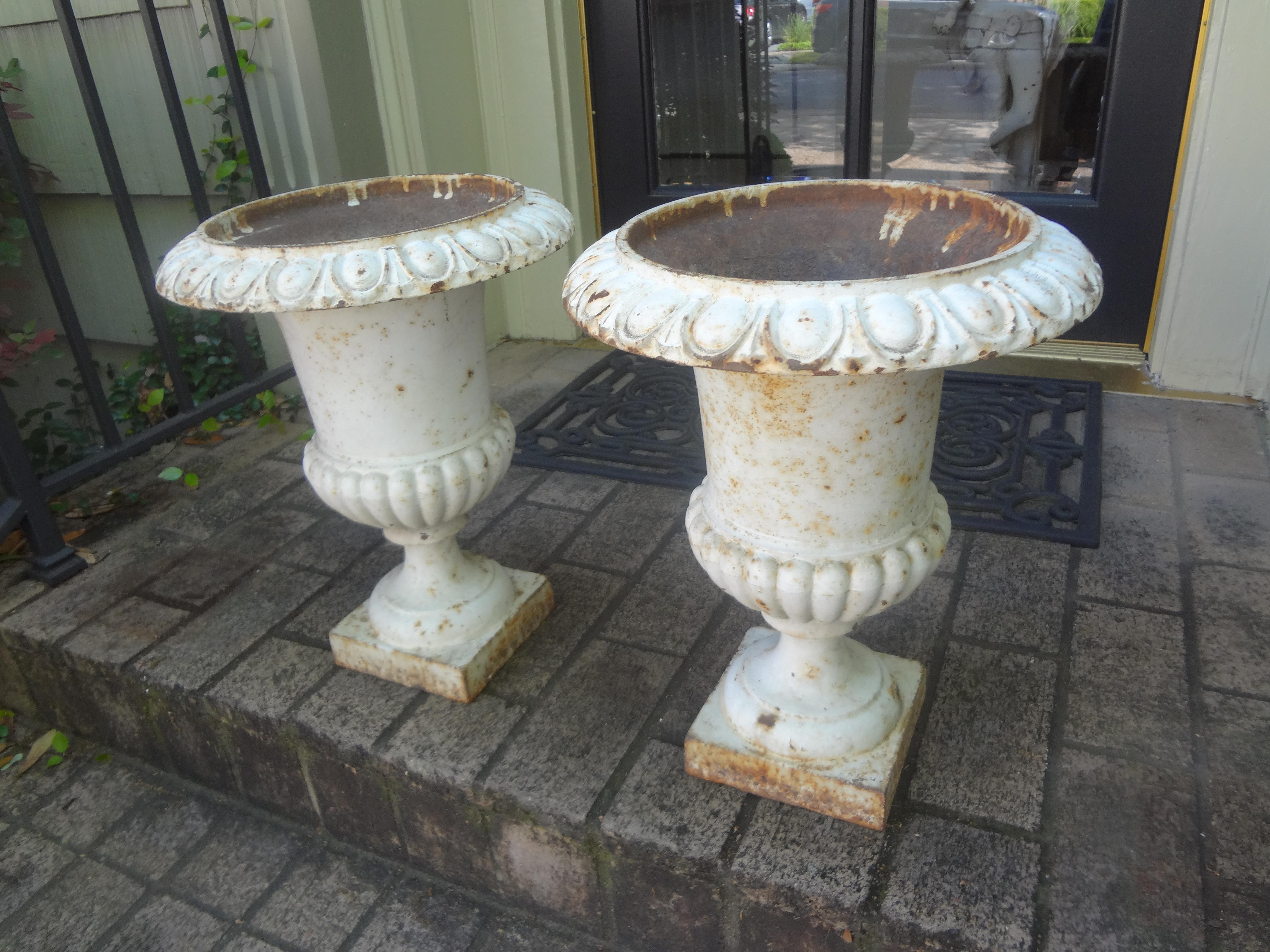 Pair of 19th Century French Cast Iron Garden Urns 3