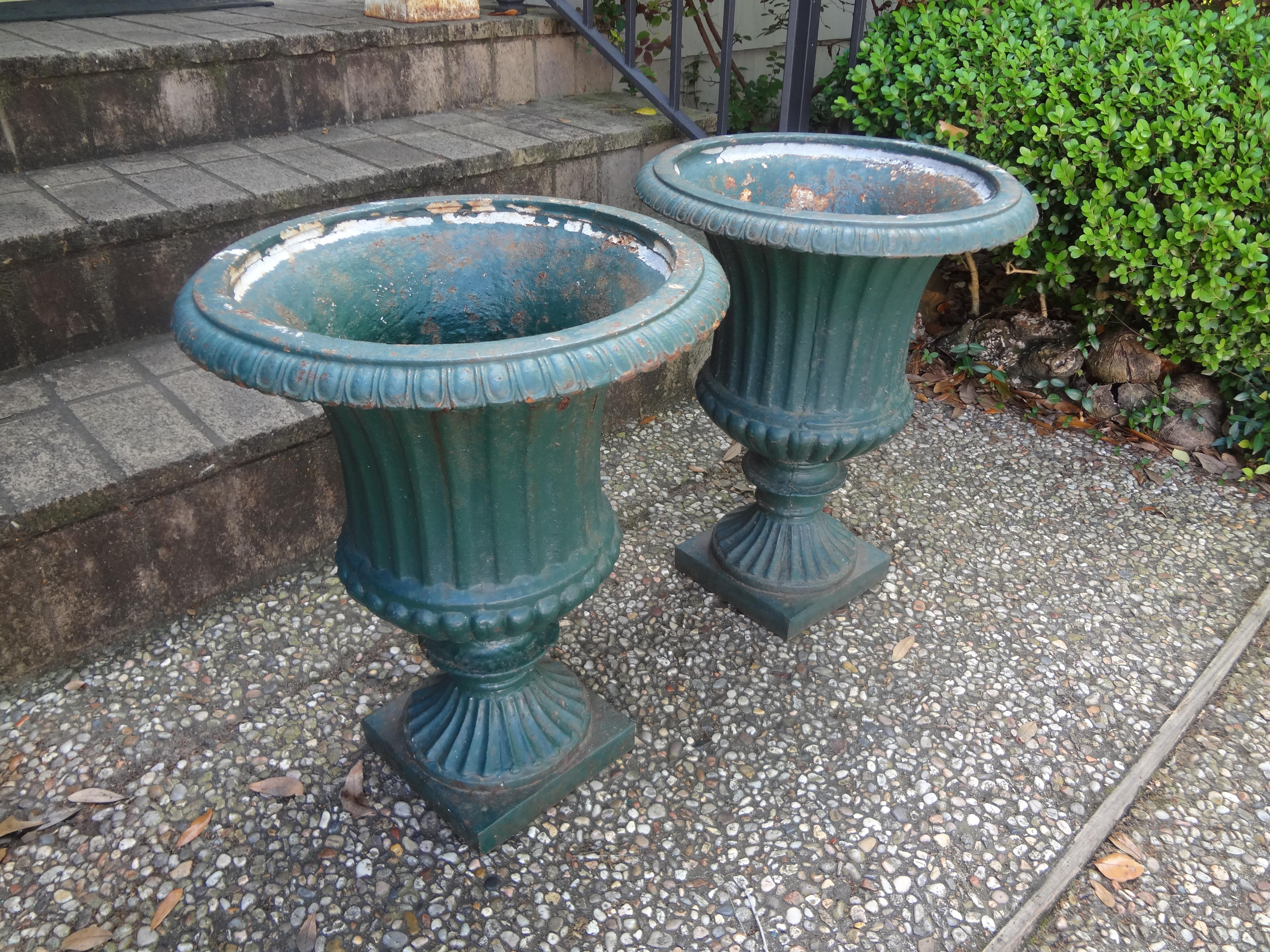 Pair of 19th Century French Cast Iron Garden Urns 3