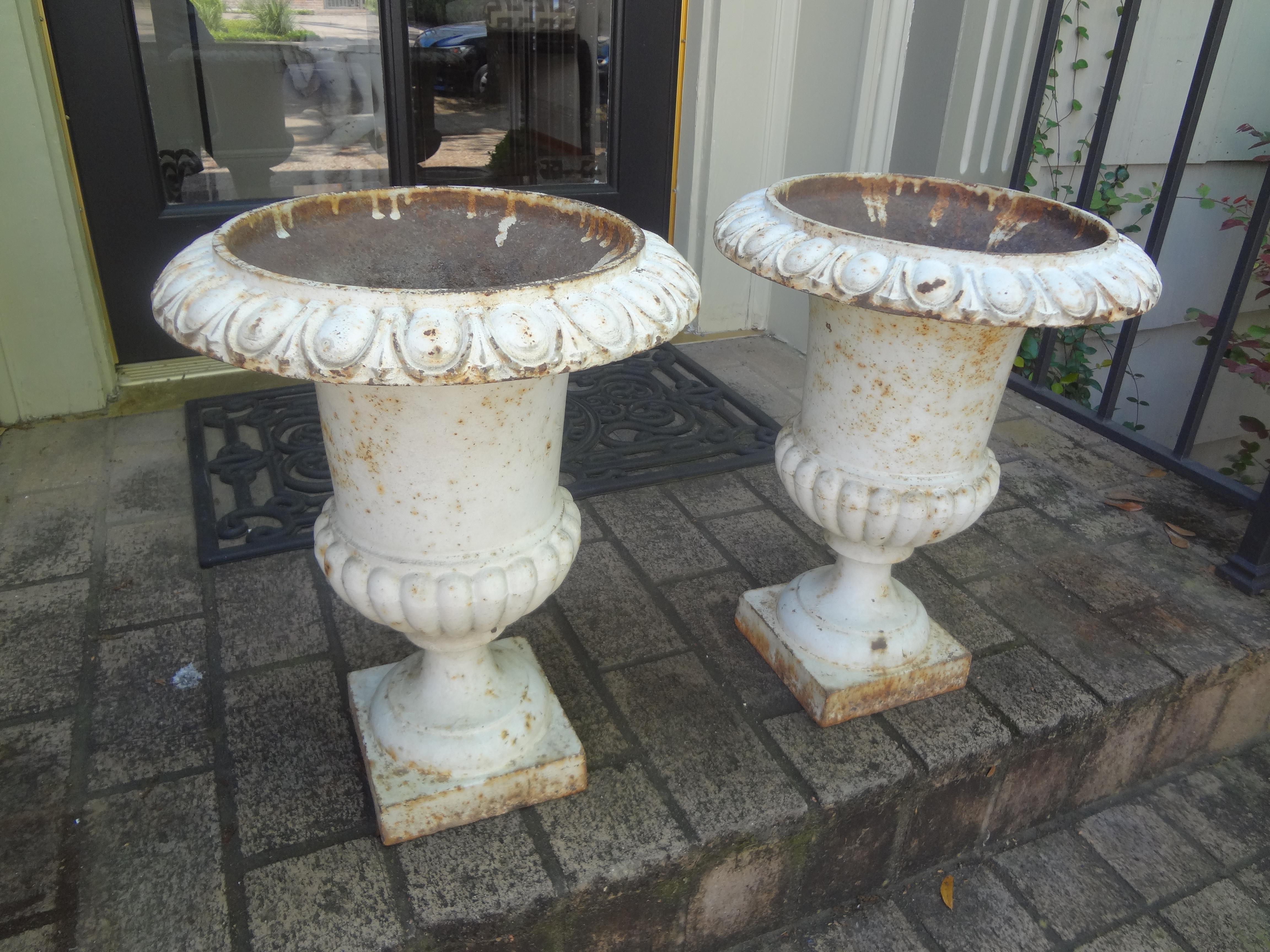 Pair of 19th Century French Cast Iron Garden Urns 4