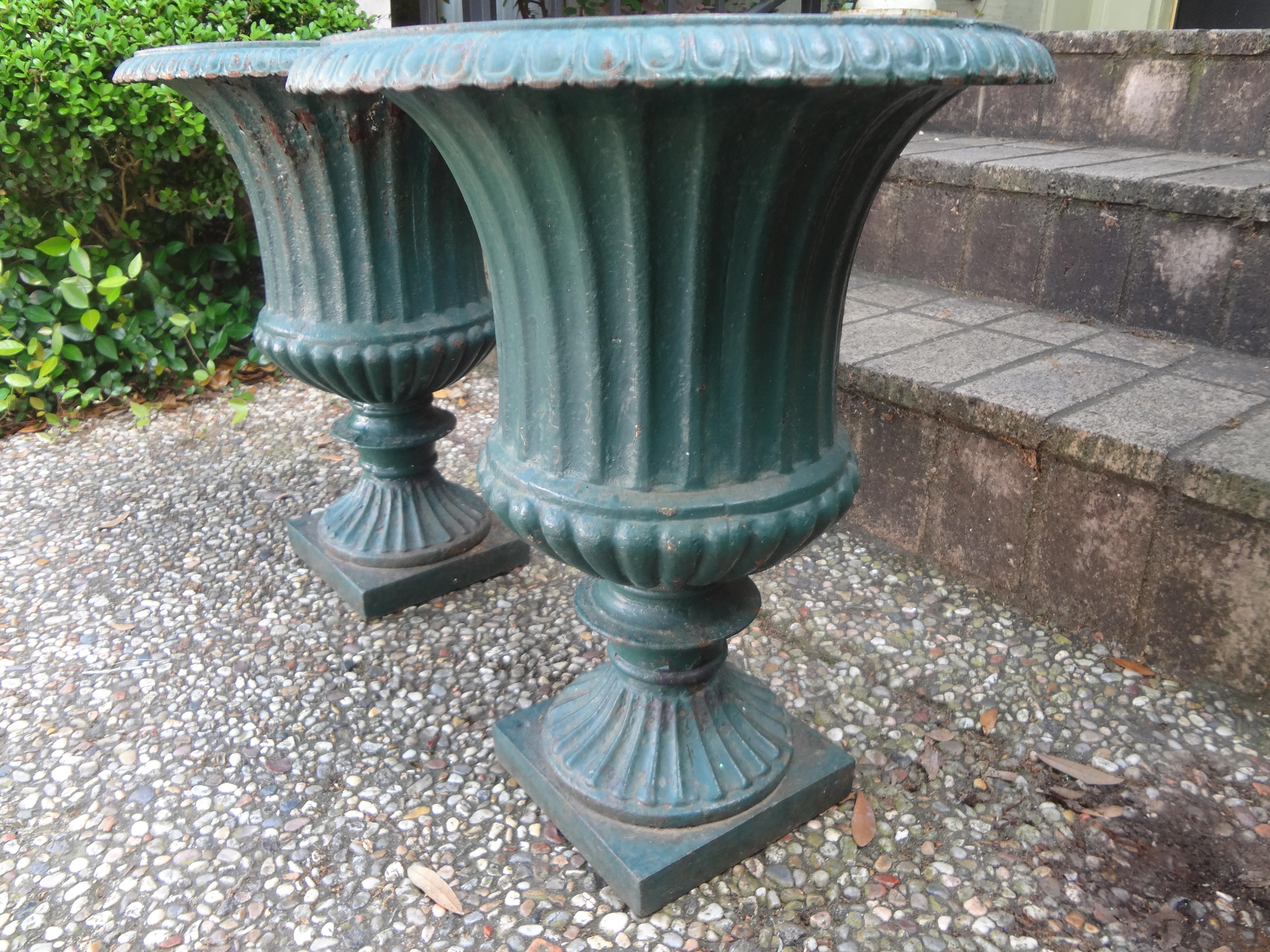 Pair of 19th Century French Cast Iron Garden Urns 4