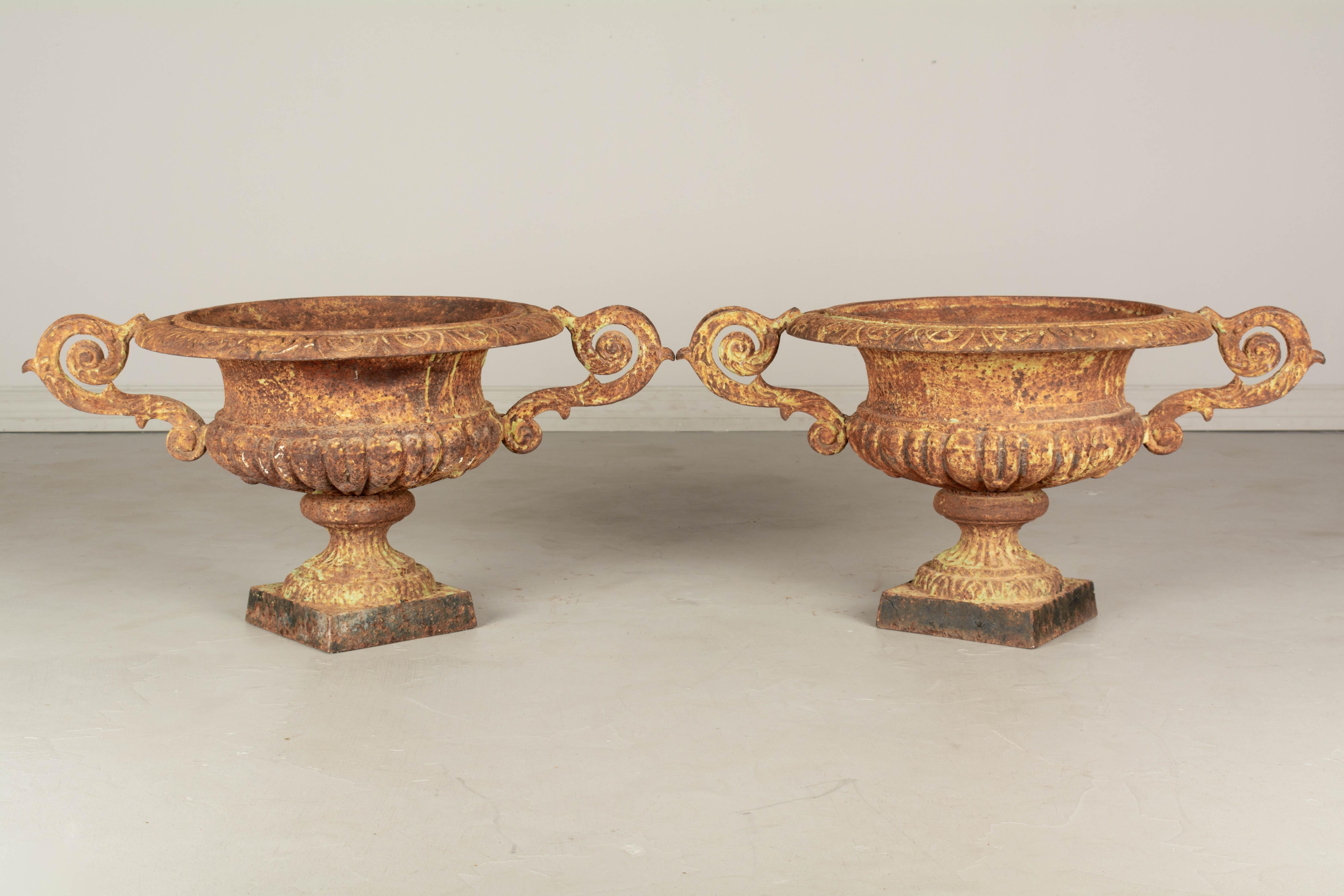 Pair of 19th Century French Cast Iron Garden Urns For Sale 6