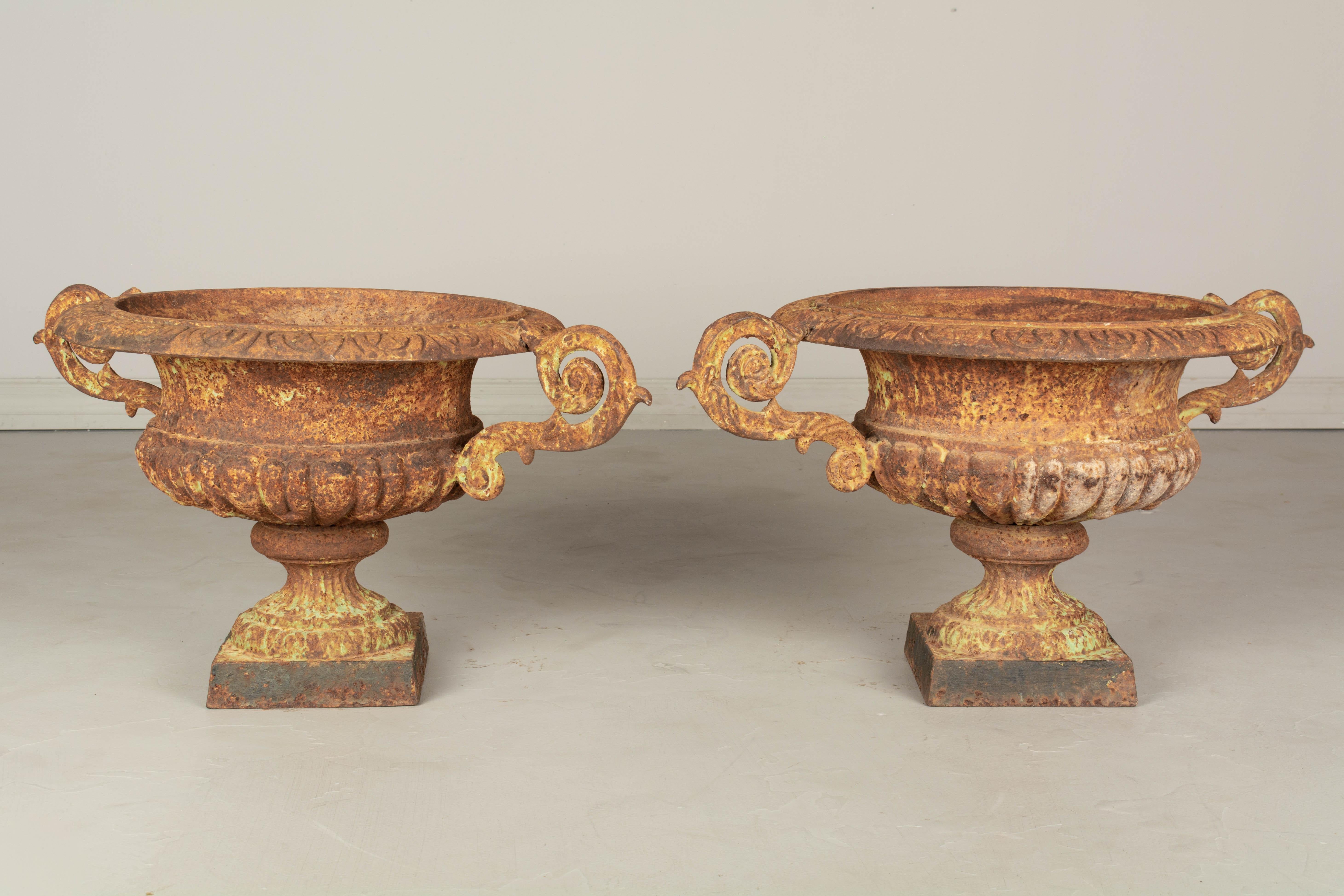 Pair of 19th Century French Cast Iron Garden Urns In Good Condition For Sale In Winter Park, FL