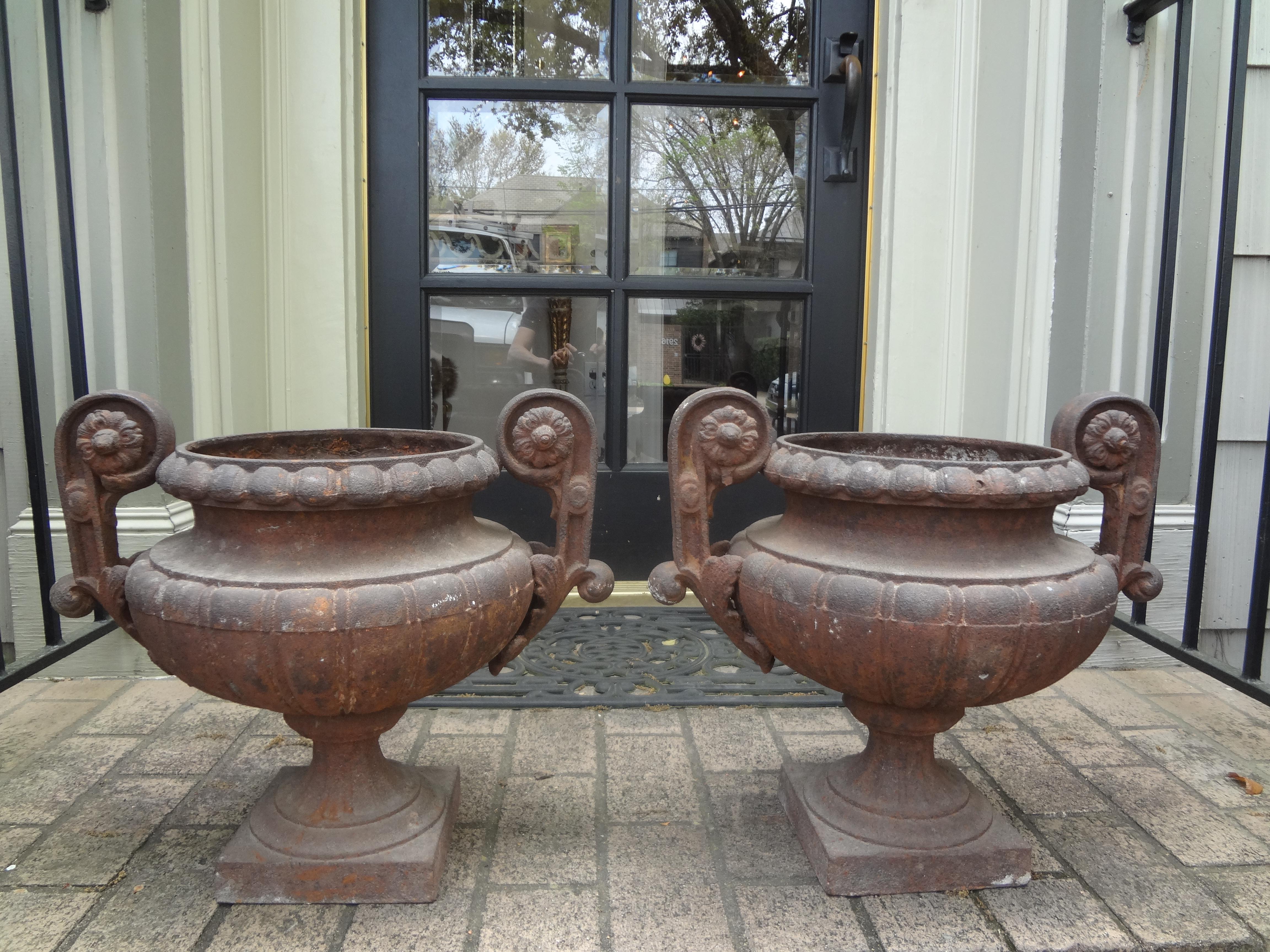 Pair of 19th century French cast iron garden urns with handles. These stunning French iron urns, planters or jardinieres have beautiful handles are the perfect size to be used indoors or outdoors.