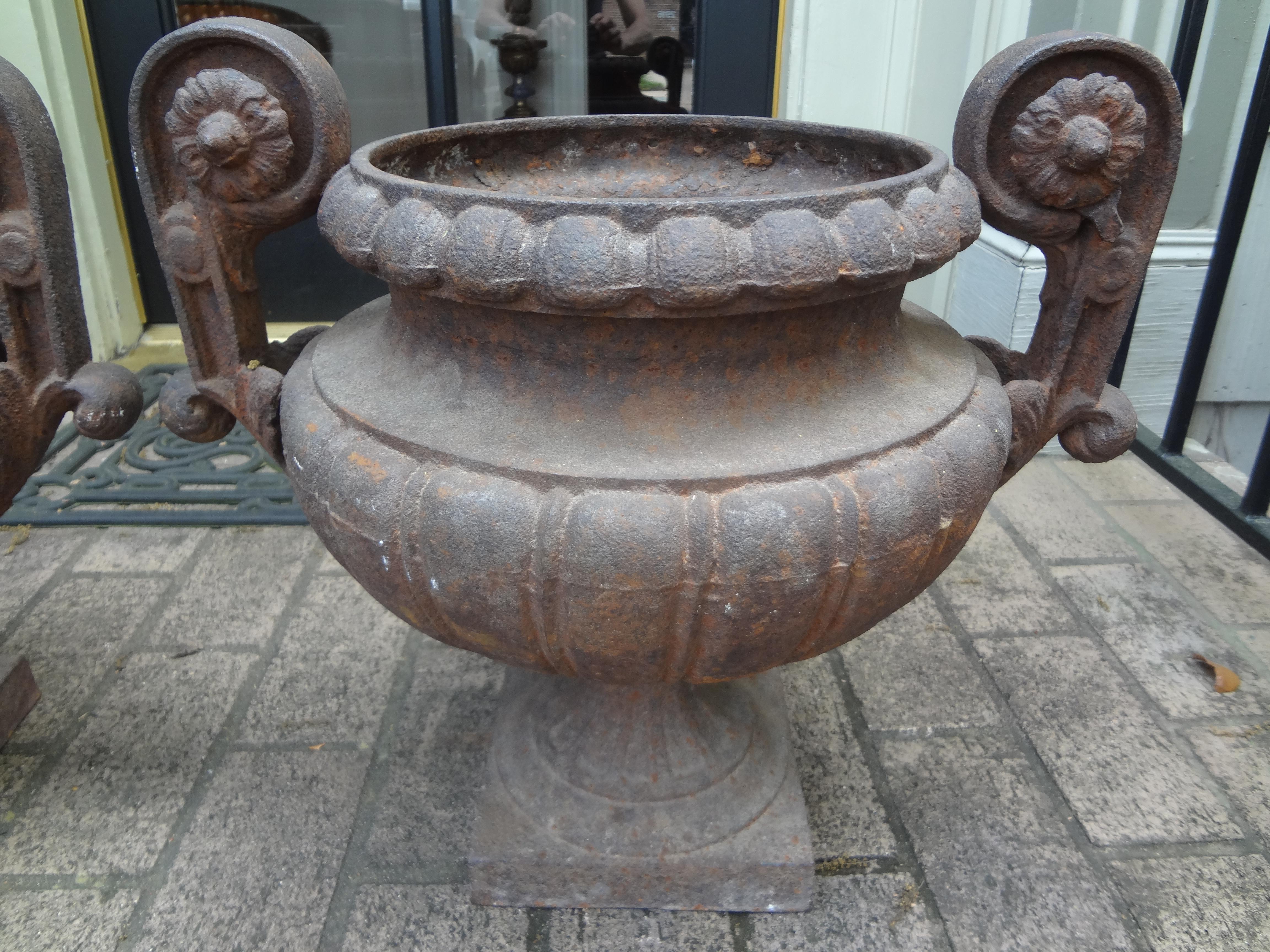 Néoclassique Paire d'urnes de jardin en fonte française du 19ème siècle avec poignées en vente