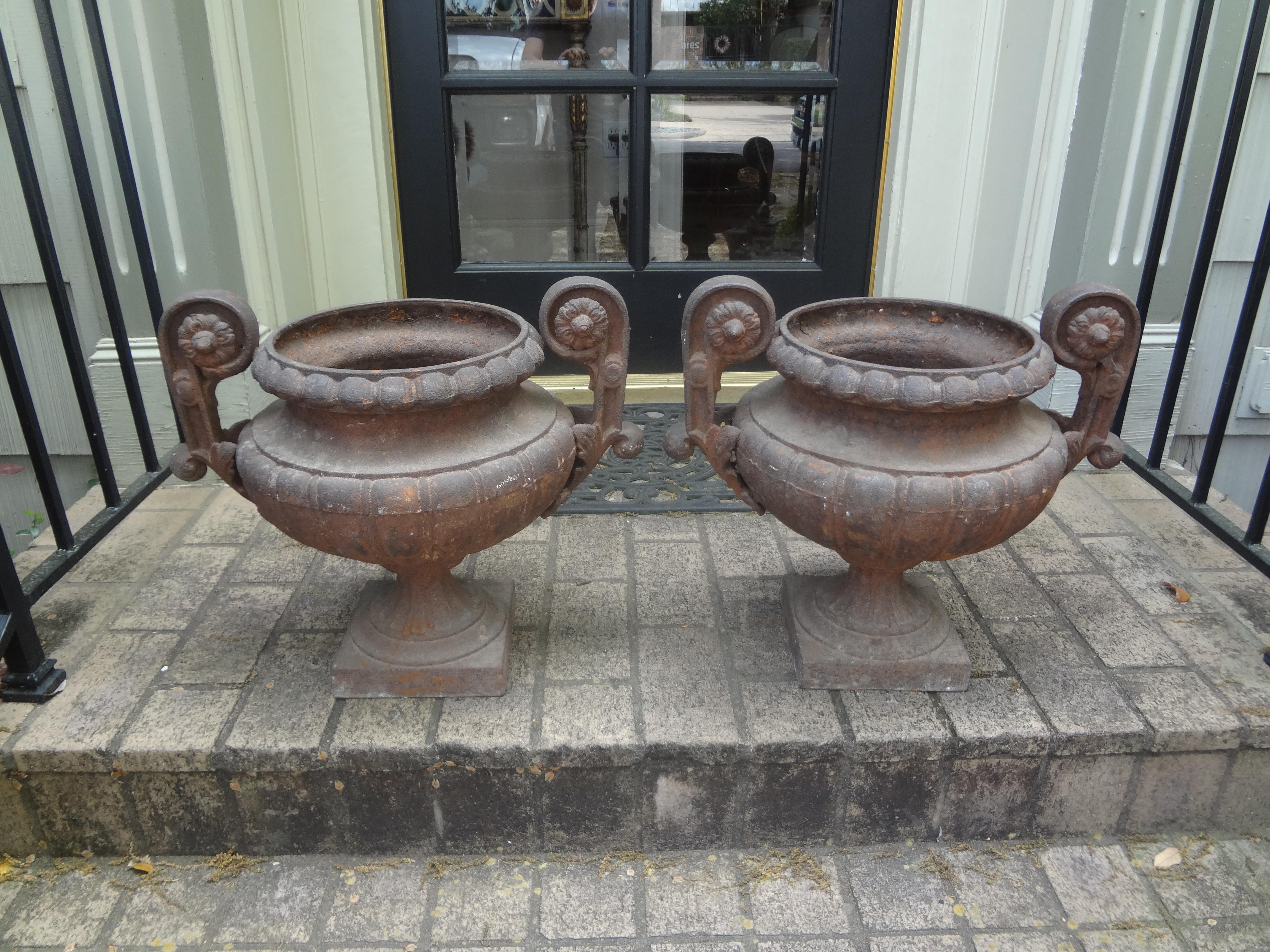 Pair of 19th Century French Cast Iron Garden Urns with Handles For Sale 1