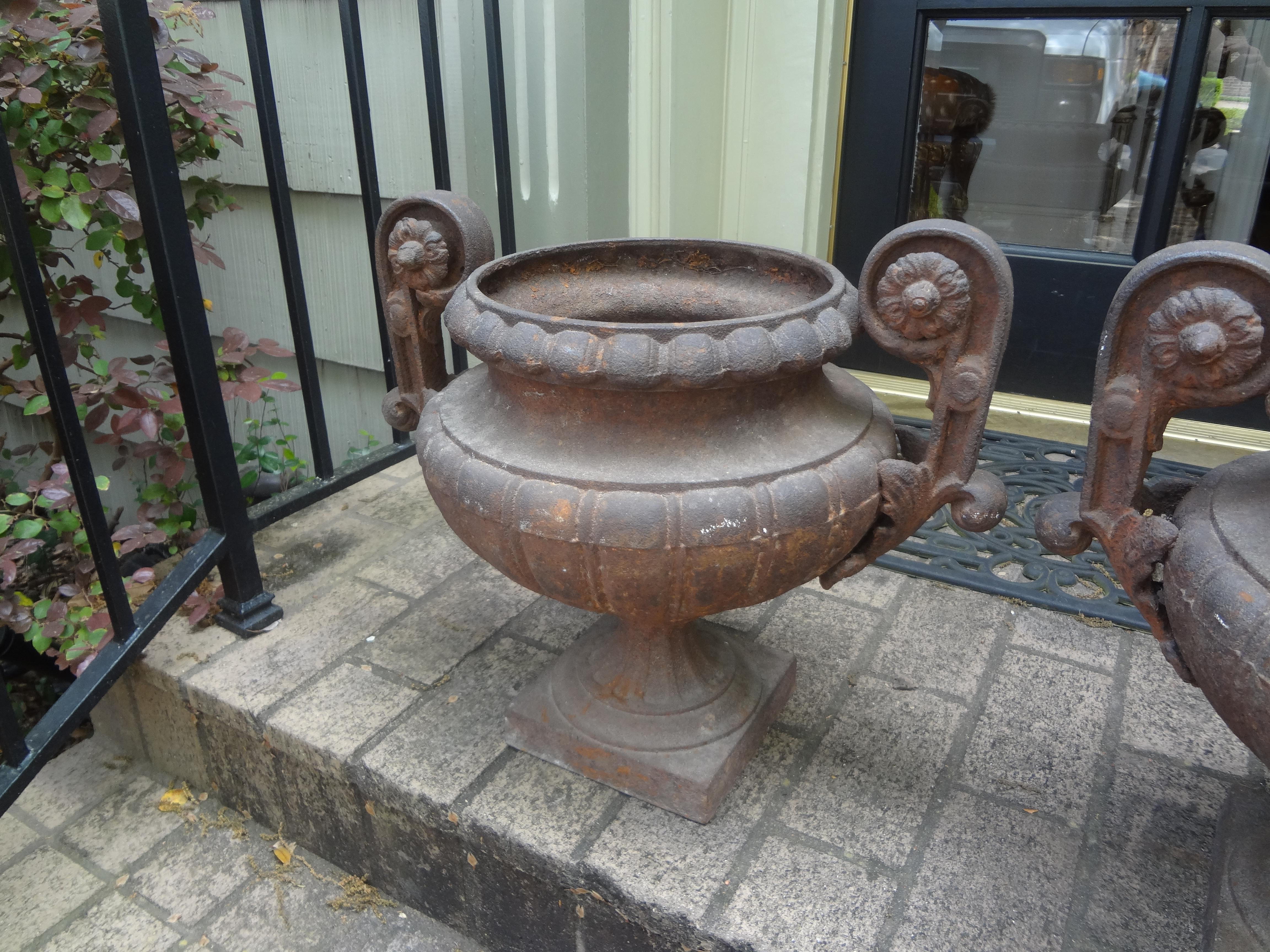 Pair of 19th Century French Cast Iron Garden Urns with Handles For Sale 2