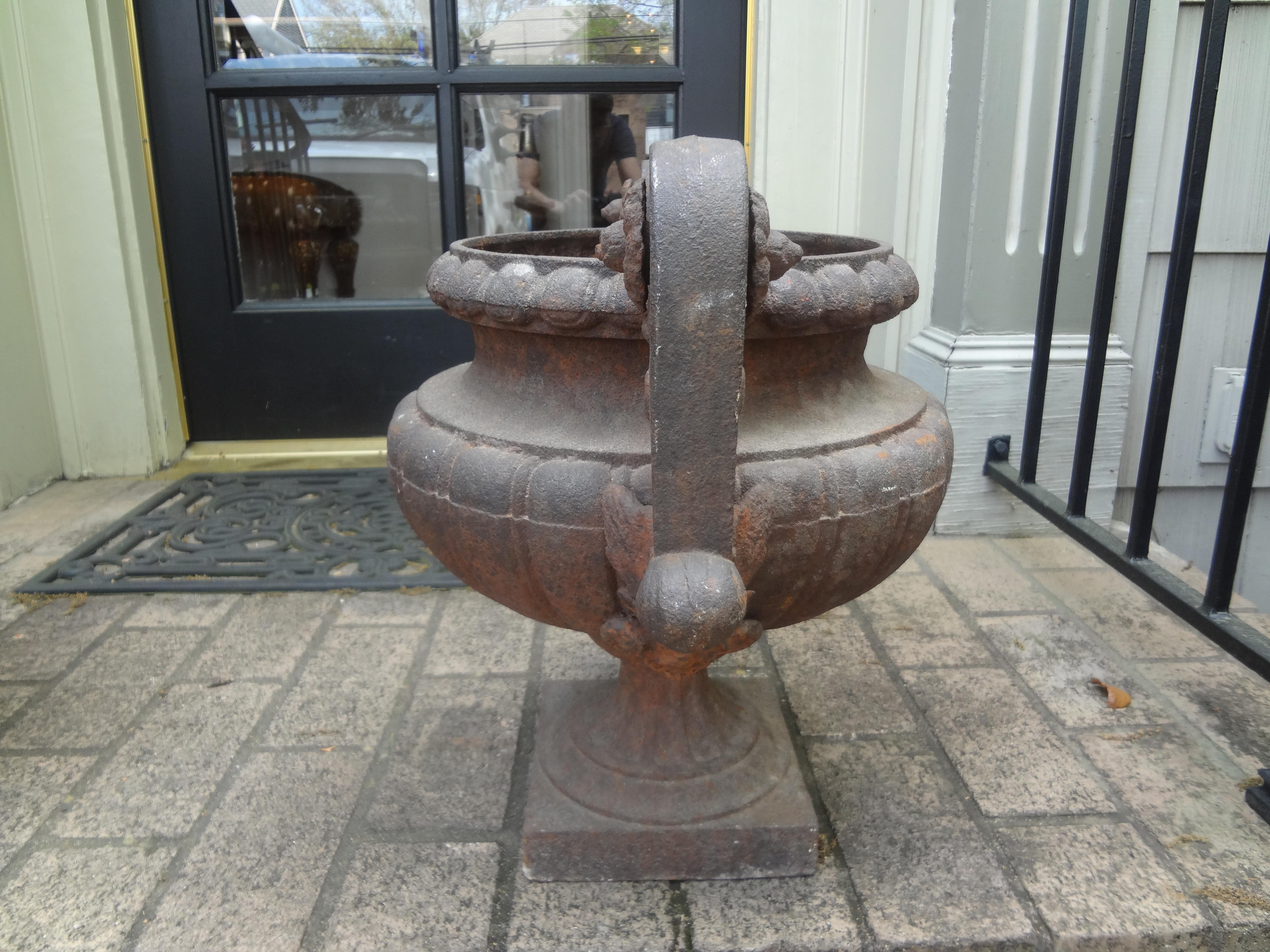 Pair of 19th Century French Cast Iron Garden Urns with Handles For Sale 3