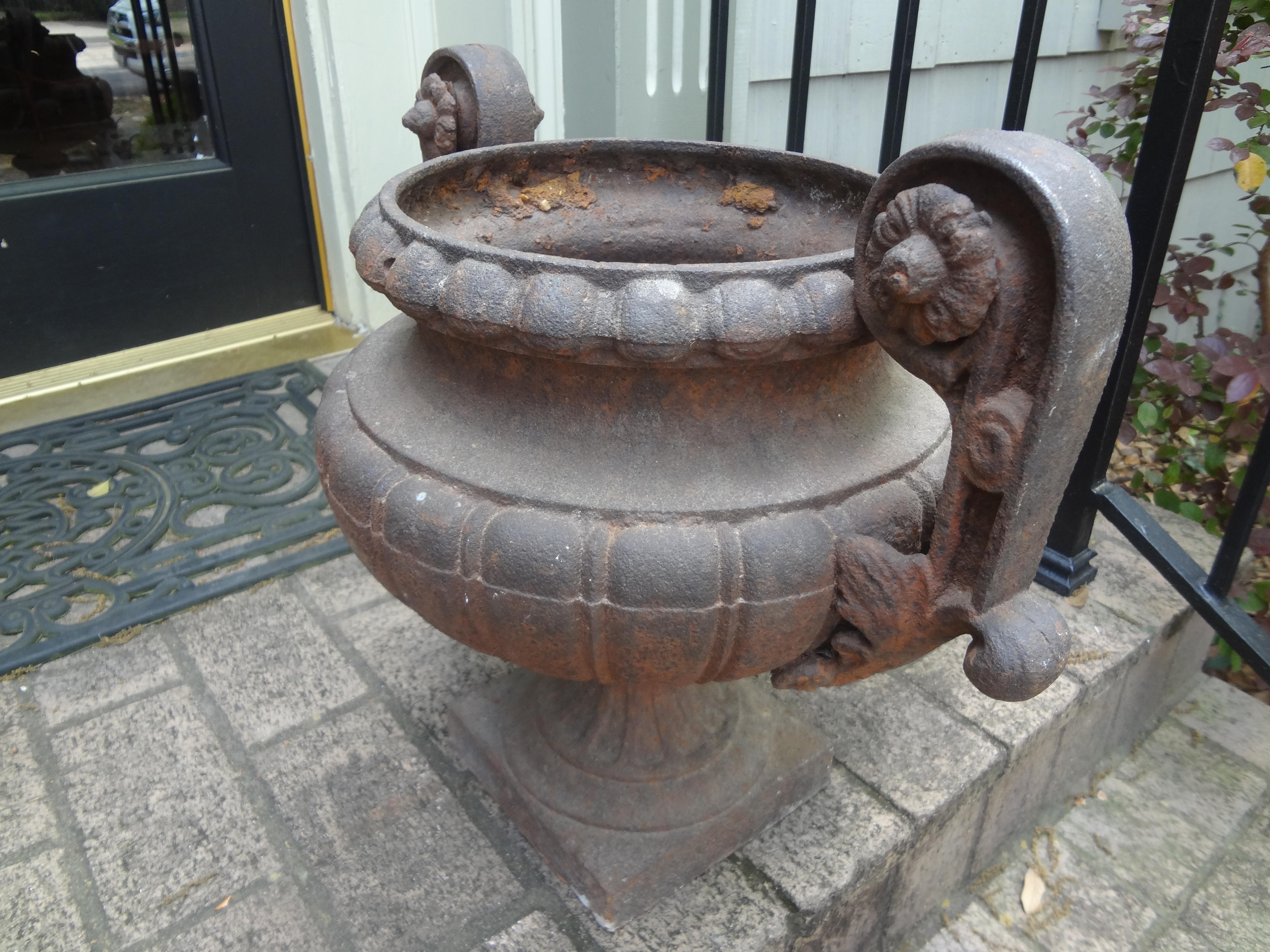 Paire d'urnes de jardin en fonte française du 19ème siècle avec poignées en vente 1